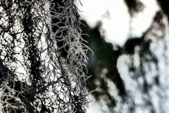 P1130910