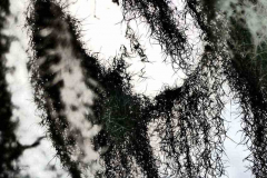 P1130912