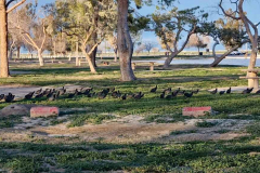 Screenshot-2023-11-09-205446