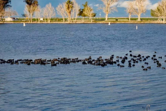 Screenshot-2023-11-09-210602