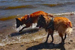 Screenshot-2022-05-29-214826