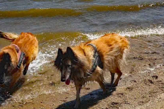 Screenshot-2022-05-29-214959