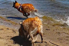 Screenshot-2022-05-29-215123