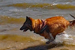 Screenshot-2022-05-29-215506