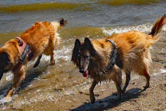 Screenshot-2022-05-29-221925