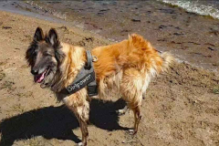 Screenshot-2022-05-29-222032