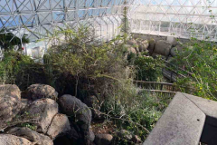 P1000521