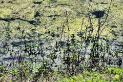 P1140044
