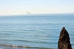 20250414_115944 20250414_115944