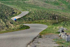 20250414_121339 20250414_121339