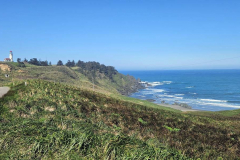 20250414_121716 20250414_121716