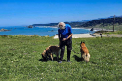 20250414_125747 20250414_125747