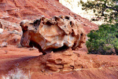P1360912