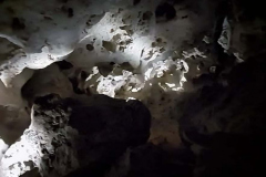 20260323_131656