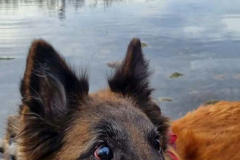 RemasterDirector_22abe5b5f