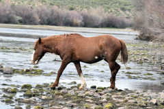P1022780