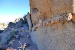 P1230252