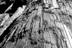 20250501_163100-sw