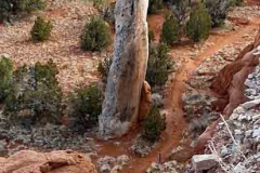 20200320_175624