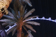 20220408_203056-kl
