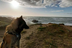 20250402_182926 20250402_182926