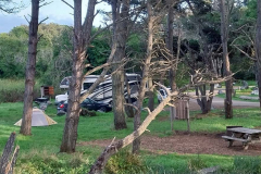 20250402_183335 20250402_183335