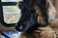 20250403_085614 20250403_085614