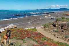 20250403_115823 20250403_115823