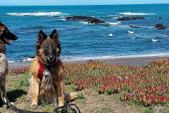 20250403_115858 20250403_115858