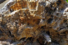 20250403_154305 20250403_154305