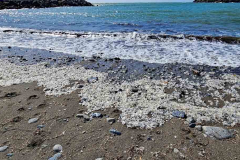 20250403_154533 20250403_154533