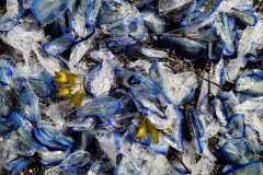 20250403_155003 20250403_155003