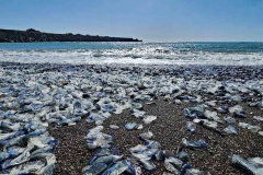 20250403_155530 20250403_155530