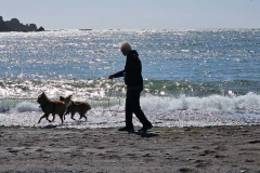 20250403_1600100 20250403_1600100