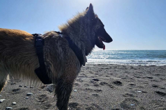 20250403_161317 20250403_161317