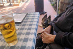 20250403_165106 20250403_165106