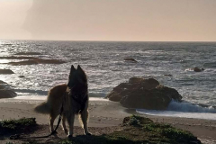 20250403_183931 20250403_183931