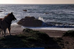 20250403_183938 20250403_183938