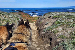 20250404_115450 20250404_115450