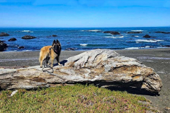 20250404_115622 20250404_115622