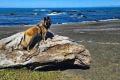 20250404_1156540 20250404_1156540