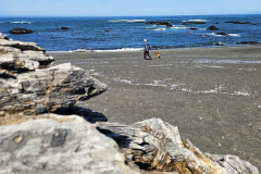 20250404_115850 20250404_115850