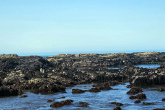 20250404_120209 20250404_120209