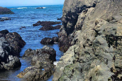 20250404_120218 20250404_120218