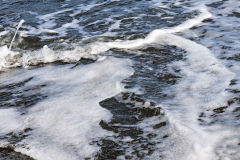 20250404_1208120 20250404_1208120