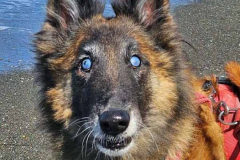 20250404_1212440 20250404_1212440