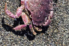 20250404_122337 20250404_122337