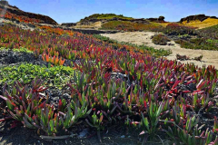 20250404_122933 20250404_122933