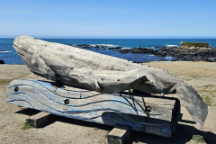 20250404_131433 20250404_131433