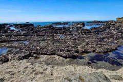 20250404_132540 20250404_132540